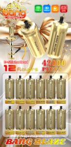 Bang-E-Shisha-42000-Puffs-3-146x300-1