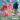 HUUK 虎克煙油優惠活動｜滿 10 瓶加碼送 HUUK 可注油主機組｜數量有限送完為止